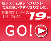 �������l�b�g�Ńf�W�J���v�����g������